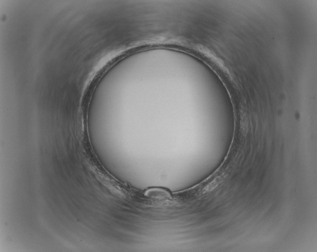 X0000072491270200608041407