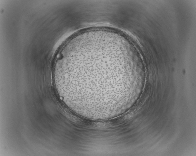 X0000072491271200608041407