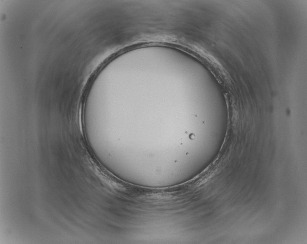 X0000072491272200608041407