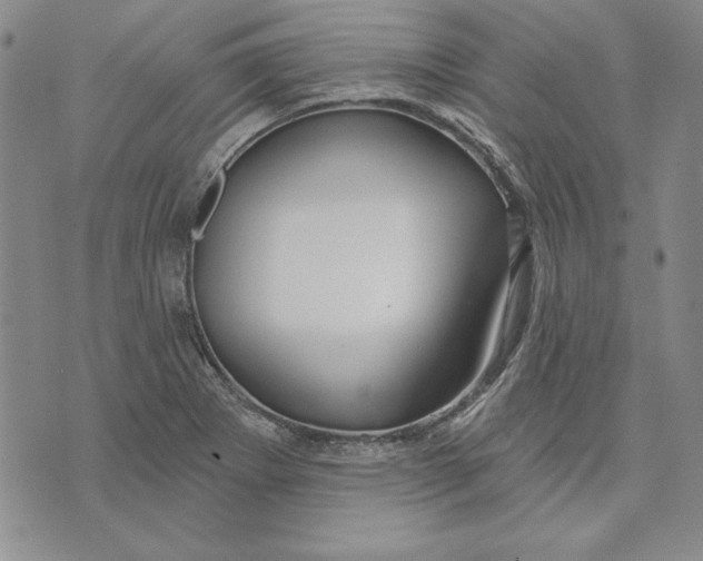 X0000072491273200608041407