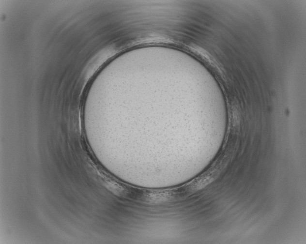 X0000072491274200608041407