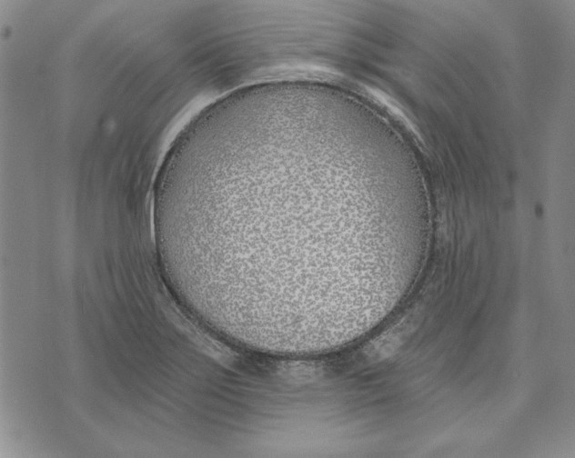 X0000072491275200608041407