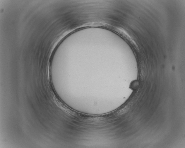 X0000072491276200608041407