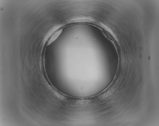 X0000072491277200608041407