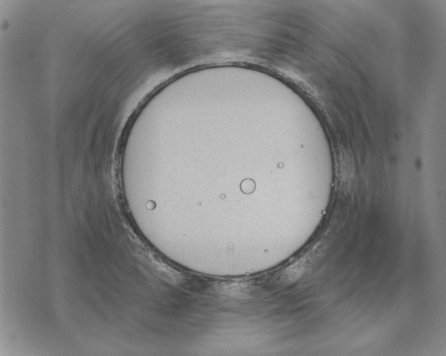 X0000072491278200608041407