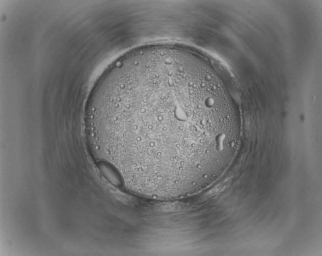 X0000072491279200608041407