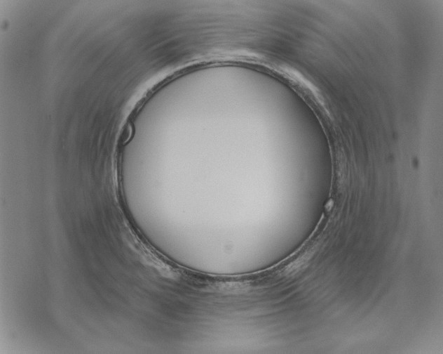 X0000072491280200608041407