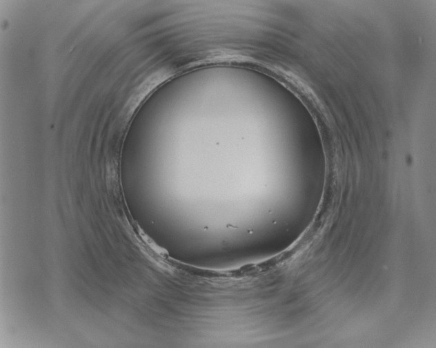 X0000072491281200608041407