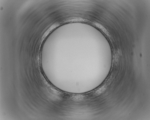 X0000072491282200608041407