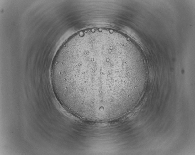 X0000072491283200608041406