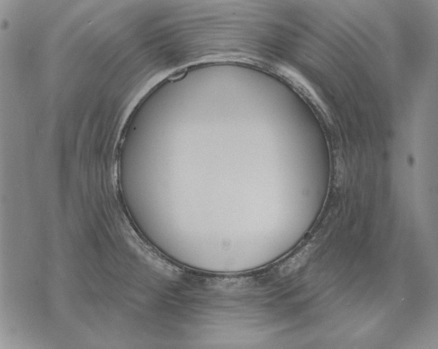 X0000072491284200608041406