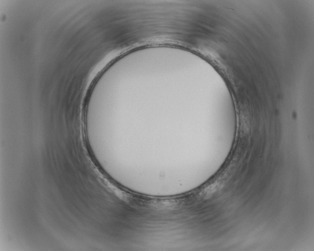 X0000072491286200608041406