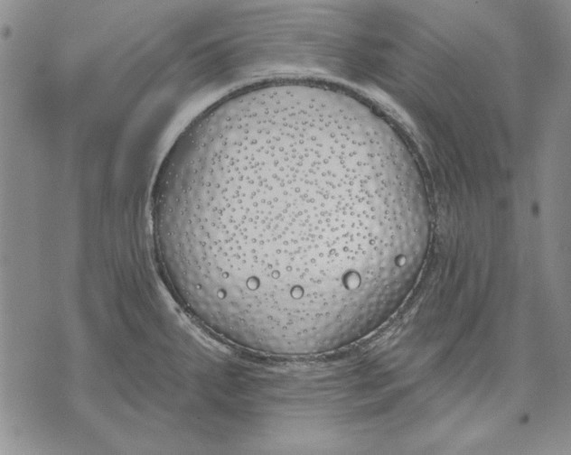 X0000072491287200608041406