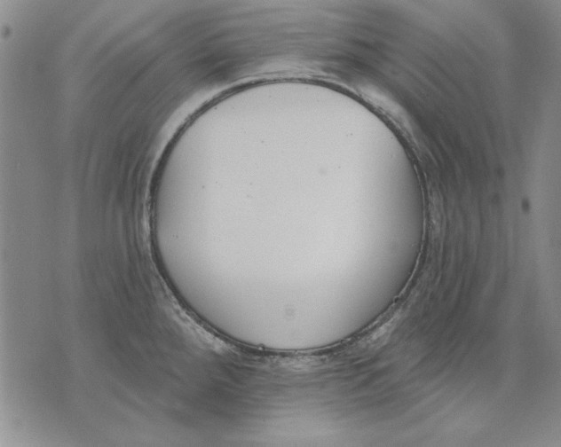 X0000072491288200608041406