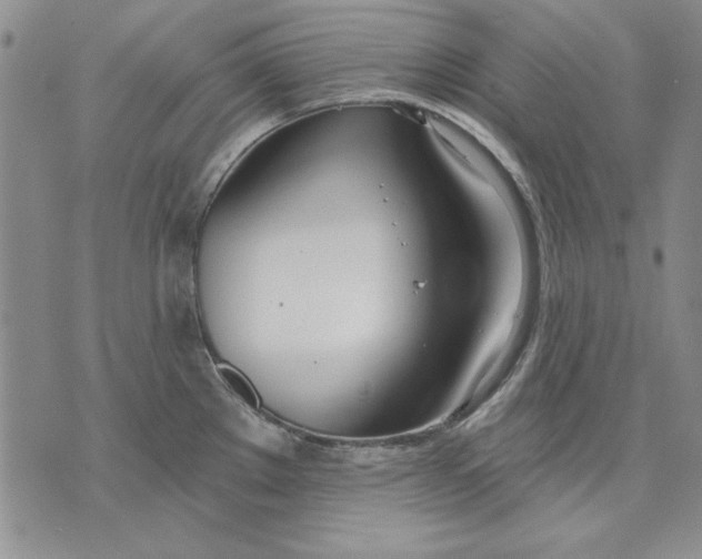 X0000072491289200608041406