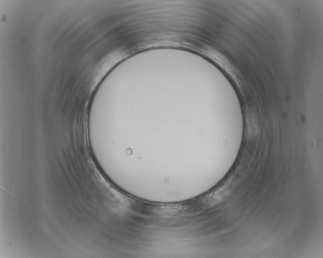 X0000072491290200608041406