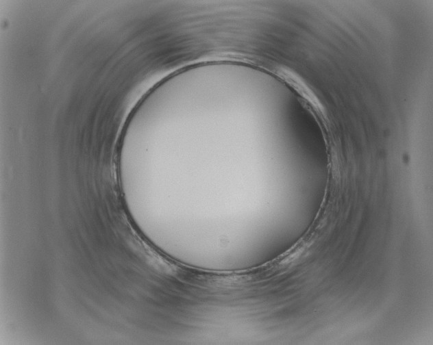 X0000072491292200608041406