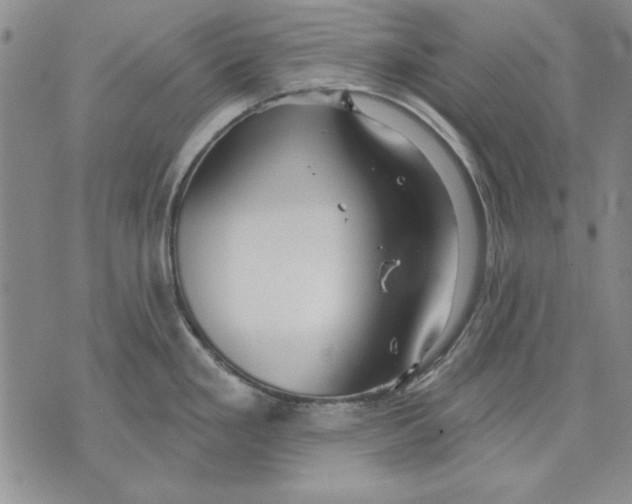 X0000072491293200608041406