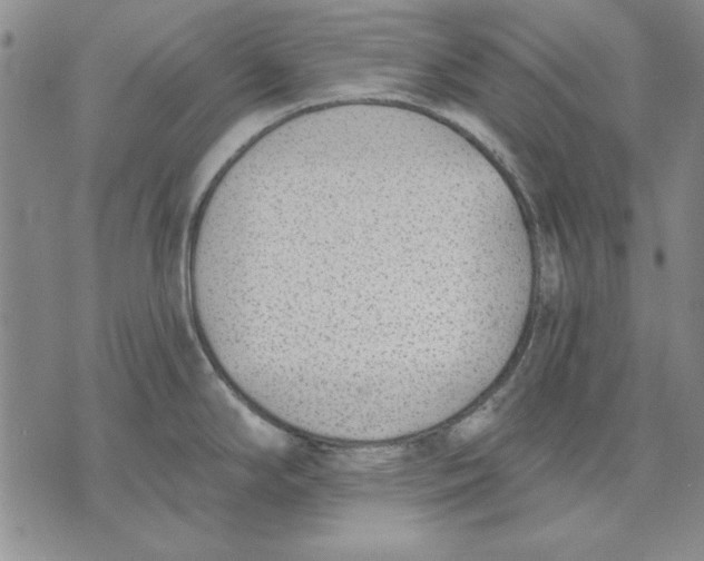 X0000072491294200608041406