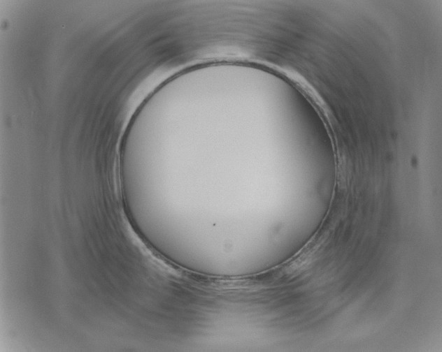 X0000072491295200608041406