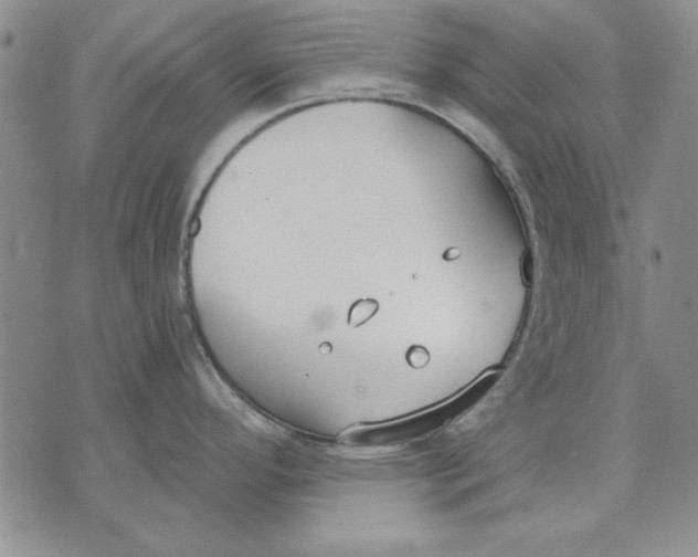 X0000072491296200608041406