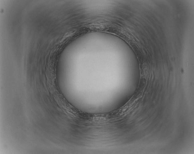 X0000072491297200608041405