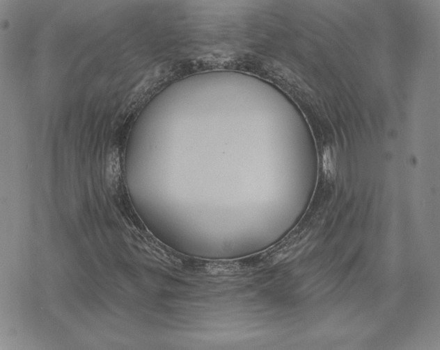 X0000072491299200608041406