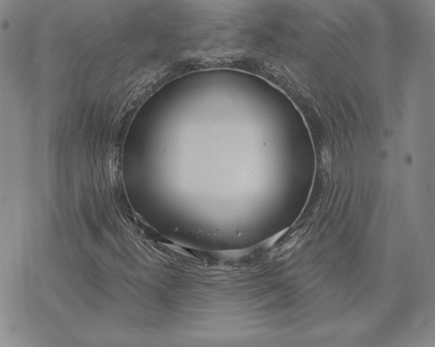 X0000072491300200608041406