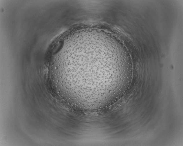 X0000072491302200608041406