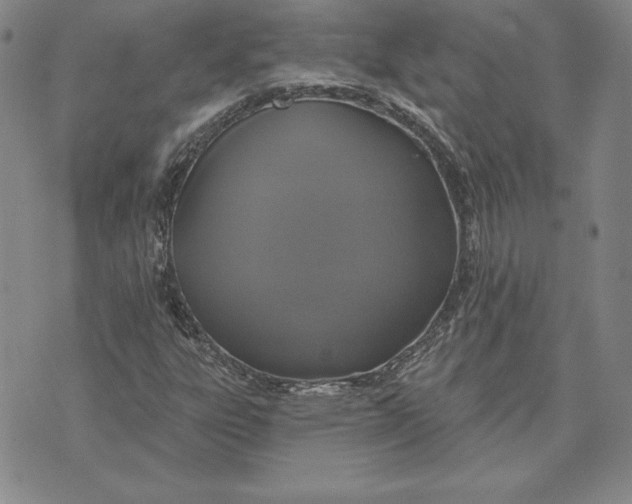 X0000072491303200608041406