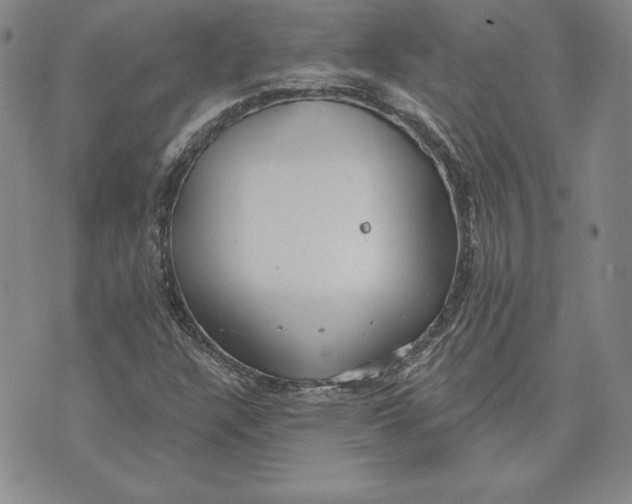 X0000072491304200608041406