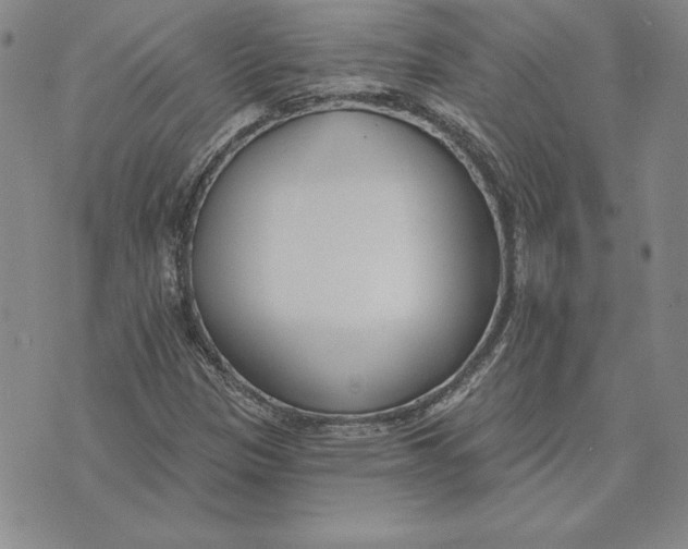 X0000072491305200608041406