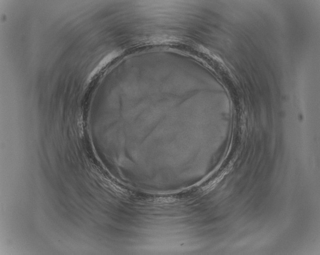 X0000072491306200608041406