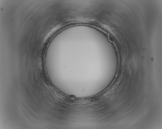 X0000072491307200608041406