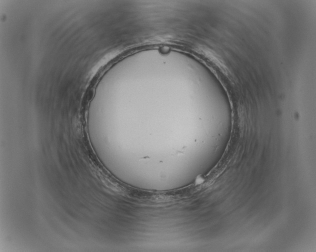 X0000072491308200608041406