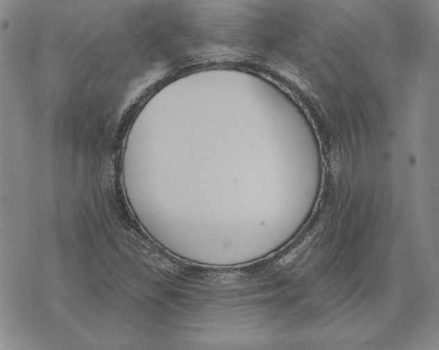 X0000072491309200608041406