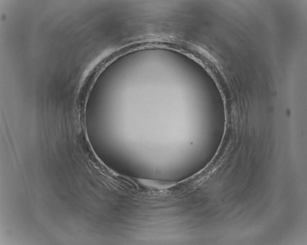 X0000072491310200608041406