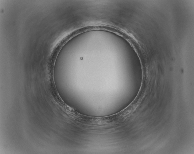 X0000072491311200608041406