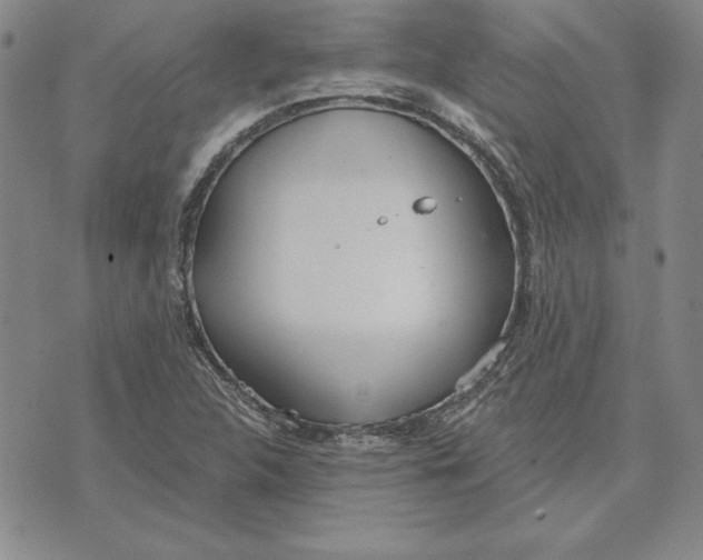 X0000072491312200608041406