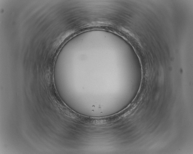 X0000072491313200608041406