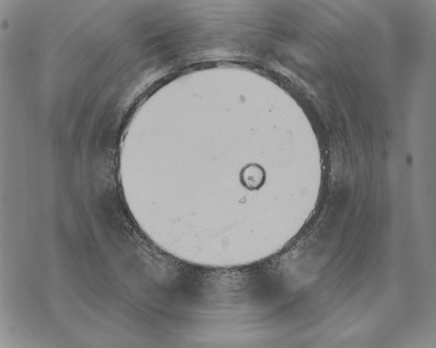 X0000072491314200608041406