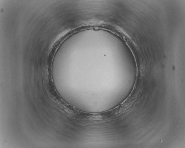 X0000072491315200608041406