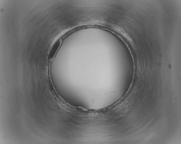 X0000072491316200608041406