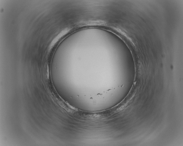 X0000072491317200608041406