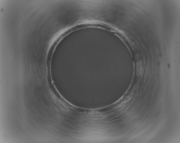 X0000072491319200608041406