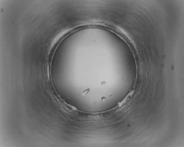 X0000072491320200608041406