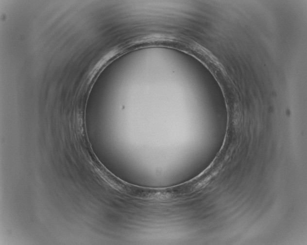 X0000072491321200608041406