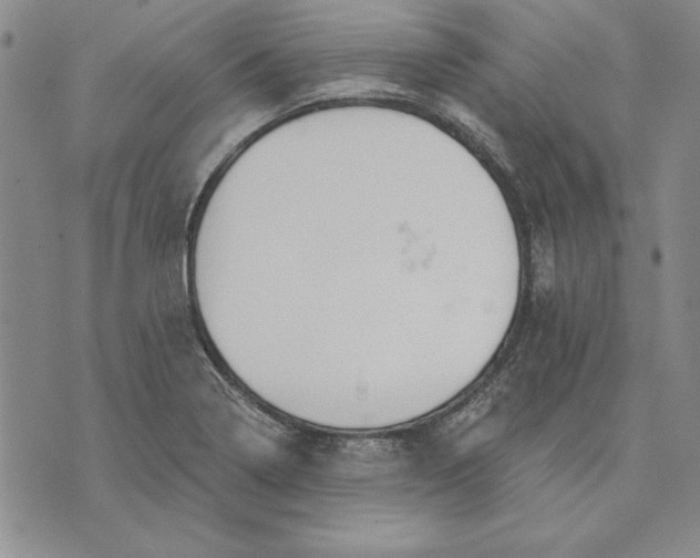 X0000072491322200608041406