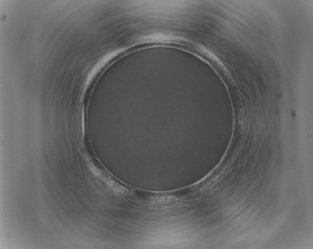 X0000072491323200608041406