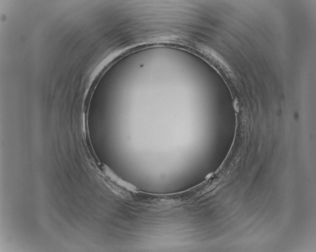 X0000072491324200608041406